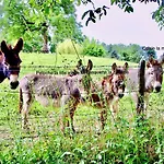Gite Piscine Couverte Chauffee Padirac&Rocamadour *