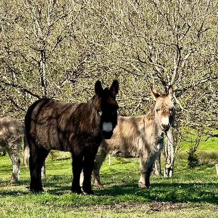 Gite Piscine Couverte Chauffee Padirac&Rocamadour