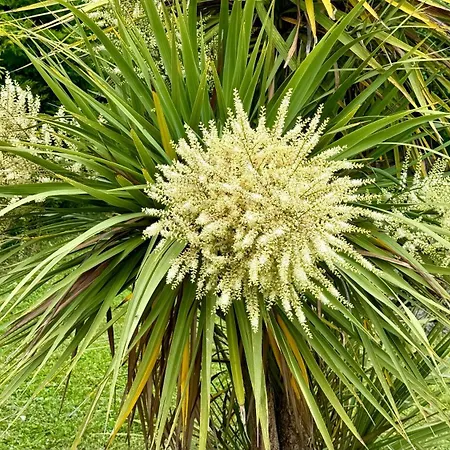Gite Piscine Couverte Chauffee Padirac&Rocamadour Prázdninový dům