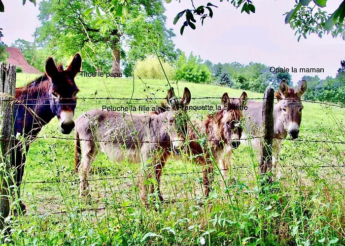Gite Piscine Couverte Chauffee Padirac&Rocamadour *