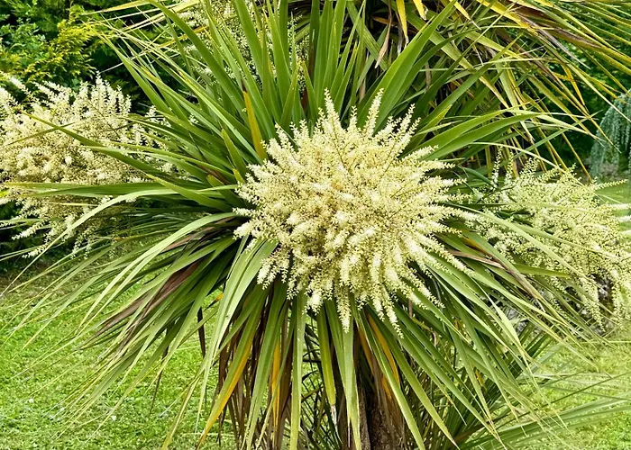 Gite Piscine Couverte Chauffee Padirac&Rocamadour Prázdninový dům